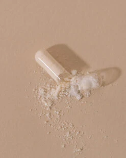 Microbiote & Nombril Compléments Digestion 7 Microbiote & Nombril Compléments Digestion -Beaute Luxe Soldes Microbiote et Nombril 3